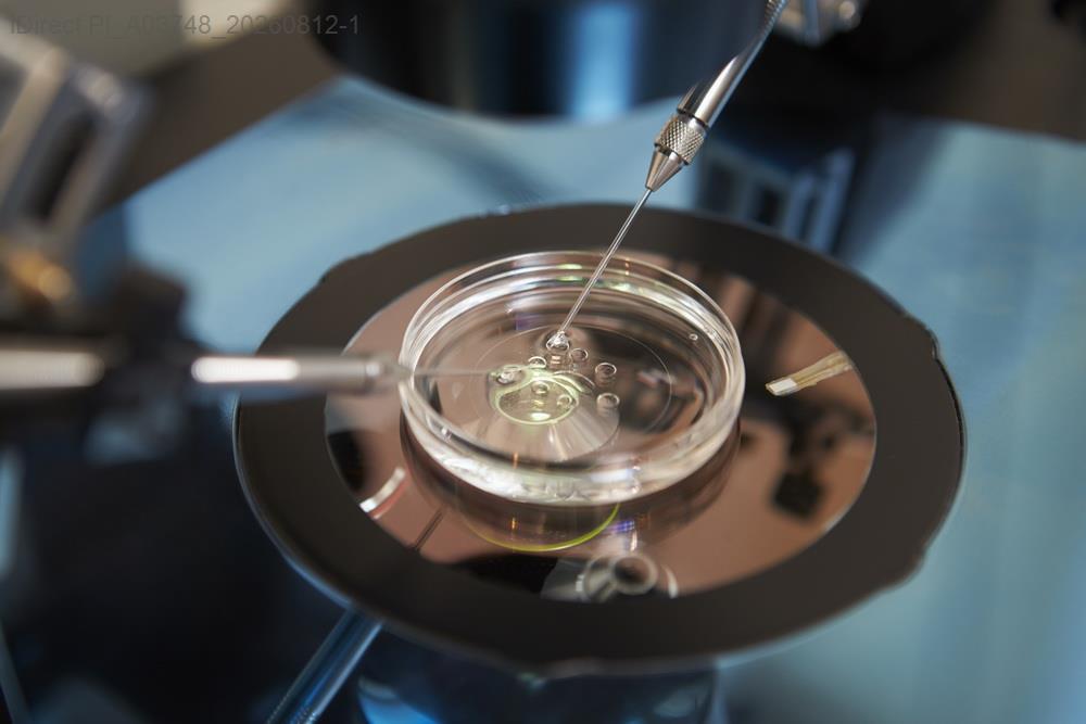 查理玩偶的秘密：為何我的皮膚像逆生長的謎樣之旅？產品圖